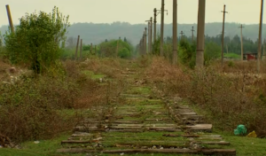 ქვეყნის ეკონომიკის ზრდის ფონზე შემცირებული ადგილობრივი სარკინიგზო გადაზიდვები