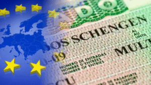 სავიზო რეჟიმის გაუქმების პირობებში რა სირთულეების წინაშე აღმოჩნდებიან ქართველი საავტომობილო მძღოლი გადამზიდველები